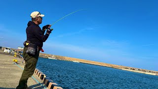 【宮城釣り】閖上漁港！日中はこの魚が爆釣してますよー！！【釣り歴30年の釣り師がポイント教えます】