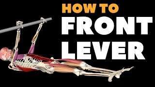 How to Front Lever step-by-step | Watch ALL active muscles