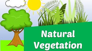 Natural Vegetation | Wild | Types of Vegetation @AAtoonsStudy