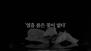 화무십일홍-인생은 짧고 허무하다... 그러나!