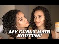 MY CURLY HAIR ROUTINE: How I wash, dry + style my natural curly hair! | FRANY’S LOOK