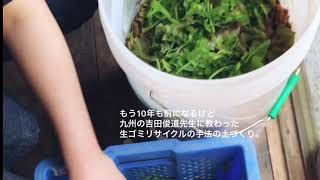 【畑】野菜クズとボカシでほかほかの土を作る①