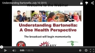 Understanding Bartonella July 10 2015