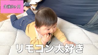 【生後8ヶ月】リモコンにかじり付かずにはいられない赤ちゃん【知育玩具】