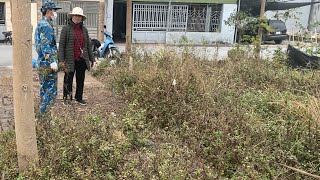 I Cleaned the Sidewalk Full of Weeds and Trash for a Woman Battling Cancer