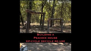 Building a new peacock shelter #homestead