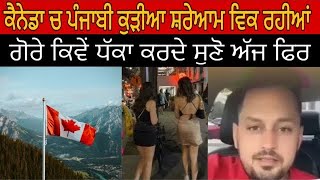 Canada ਚ ਬਿਨਾ ਕੰਮ ਕਿਵੇਂ PR ਮਿਲ ਰਹੀ ਕੁੜੀਆ ਨੂੰ ਛਾਤੀ ਫਟਣ ਨੂੰ ਆਜੂ ਸੁਣ | canada punjabi girls PR truth