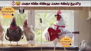 فزعتكم.يل.ربع.انباك.الديج 🐓👉🤣اويلا.يايابه.وديج.باكا.هاني.سوه.علي.برياني🤣