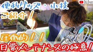 日常の水草水槽メンテナンスの極意〜トールマン TV〜