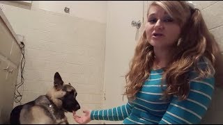MEET THE YOUTUBER THAT HAS S*X WITH HER DOGS