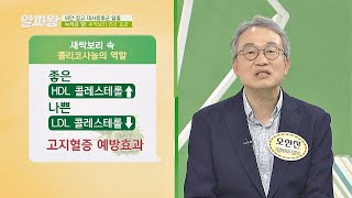 고지혈증을 예방해주는 새싹보리 속 ′폴리코사놀′ TV정보쇼 알짜왕(alzzaking) 113회