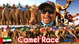 Camel Race In🇦🇪ഒട്ടകങ്ങളുടെ  ഓട്ട മത്സരം ♥️മലയാളത്തിൽ ആദ്യം✅️