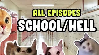 CAT MEMES: SCHOOL IS HELL COMPILATION…