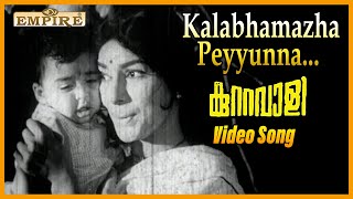 കളഭമഴ പെയ്യുന്ന രാത്രി |Kalabhamazha Peyyunna..| Kuttavali Movie Song | evergreen songs | P Susheela