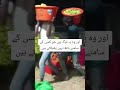 اور وہ یہ لوگ ہیں جو کسی کے سامنے ہاتھ نہیں پھیلاتے ہیں