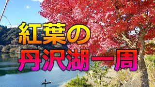 紅葉の丹沢湖一周