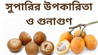 সুপারির উপকারিতা ও গুনাগুণ | Benefits of Areca Nuts | সুপারির ঔষধি গুন