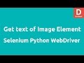 Get text of Image element in Selenium Python