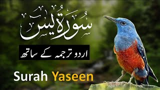 Surah Yasin ( Yaseen ) with Urdu Translation | Quran Tilawat Beautiful Voice | Hindi Tarjuma 109