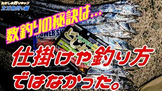 太刀魚狩り編 大阪タチウオ 時合いの短いタチウオを数釣りするにはここを改善すべし。