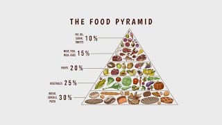 What happened to the 'food pyramid'?