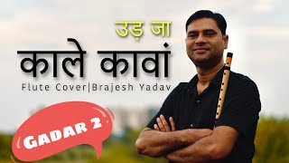 Udd Ja Kaale Kanwan | Gadar 2 |Flute cover | Brajesh yadav | Udit Narayan | Sunny Deol | Ameesha