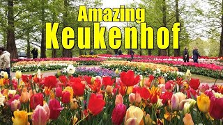 KEUKENHOF, HOLLAND - 2022  | THE MOST BEAUTIFUL SPRING GARDEN IN THE WORLD ! | TULIP GARDEN  4K