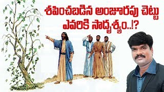 శపించబడిన అంజూరపు చెట్టు దేనికి సాదృశ్యం? / 21-10-2017 Calvary Tv Episode-27 / CGTI VijayKumar