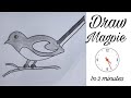 How to draw a magpie easy step by step #viral #art #sketch #birds #national #trending