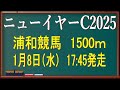 ニューイヤーカップ2025（浦和競馬）⚠️11頭に減点！消去法データ予想