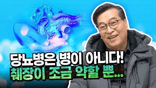 당뇨는 병이 아닙니다! 췌장이 약한 거에요! 당뇨는 치료 가능합니다!