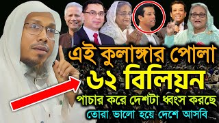 afsari waz ameracia / রফিক উল্লাহ আফসারী নতুন ওয়াজ / rafiqullah afsari waz,bangla waz / afsari waz