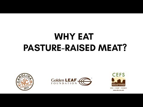 Why eat pasture-raised meat? Why eat pasture-raised meat?