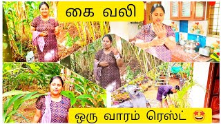 ✨ மிளகு அறுவடைக்கு ரெடி ஆகிட்டே இருக்கு🤦 கை வலி தாங்க முடியல#home#Tamil #@priyamana thozhi#pepper..#