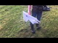 RC plane gets lost - planesofpaper