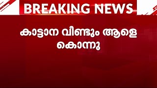 മൂന്നാറില്‍ കാട്ടാന ആക്രമണത്തില്‍ യുവാവിന് ദാരുണാന്ത്യം | Munnar | Wild Elephant Attack