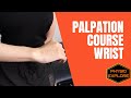 Wrist Palpation || 觸診手腕關節