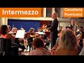 Pietro Mascagni - Intermezzo · Cavalleria Rusticana · Live in Concert 2025 · Horst Sohm & Orchestra