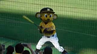 2015.07.26　阪神甲子園球場　「阪神スタメンメンバーの打撃の物まねをするトラッキー」