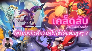 [ Dragonia Saga ] สู้รบมังกรศึก เคล็ดลับที่หลายคนยังไม่รู้ !!!