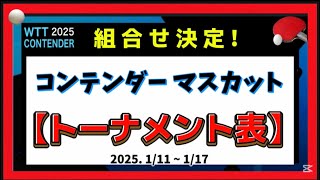 【トーナメント表①】組合せ決定・トーナメント表で対戦相手＆試合時間をチェック！WTTコンテンダーマスカット2025