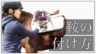 【鞍の付け方】乗馬初心者/馬装/馬具/乗馬