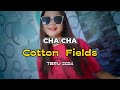 DJ CHA CHA ( Cotton Fields ) VAREL KAONSENG TERBARU 2024