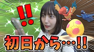 アドベンチャーウィーク初日からお目当ての色違いが…‼️【ポケモンGO】