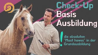 Basis Ausbildung Pferd Check up (mit Seil)