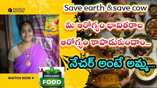 ప్రకృతి వ్యవసాయం సులభంగా ఎలా ప్రారంభించాలి? పూర్తి మార్గదర్శిని |Natural Farming Secrets|