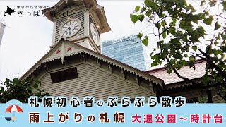 札幌初心者のぶらぶら散歩、雨上がりの「大通公園」から「時計台」までぶらぶらしました。【北海道移住】