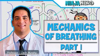 Respiratory | Mechanics of Breathing: Pressure Changes | Part 1