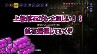 [PS3版テラリア]自由にテラっちゃおう！第14回「どうしても鉱石が欲しい」