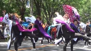 粋・彩夏祭二日目。2016年8月7日。